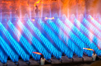 Paddockhaugh gas fired boilers